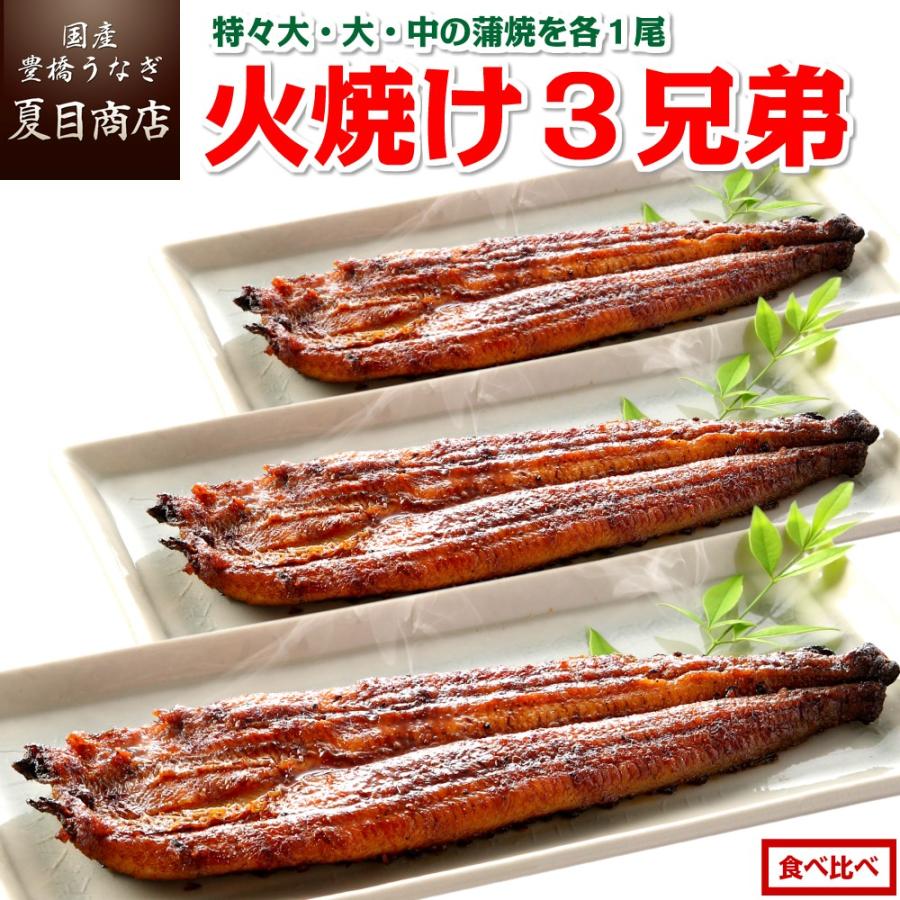 うなぎ 蒲焼き 国産 火焼け３兄弟 特々大・大・中 各1尾 送料無料 プレゼント 贈り物 お歳暮 ギフト