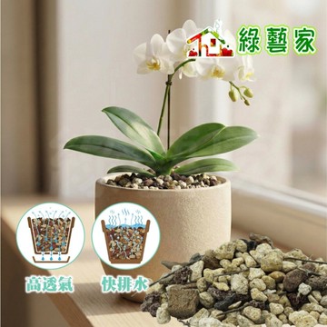 【綠藝家】蘭花栽培專用1公升｜蛇木屑×松樹皮×火山石×椰塊｜高透氣快排水｜蝴蝶蘭 石斛 文心
