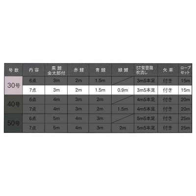 こいのぼり 俊峰 鯉のぼり 庭園用 3m7点 ニューGDX 金太郎付 紫雲龍