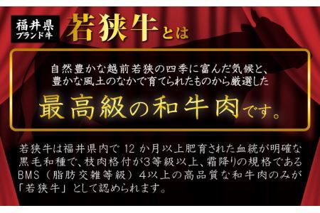 福井県産若狭牛 赤身焼肉 300g [A-015010]