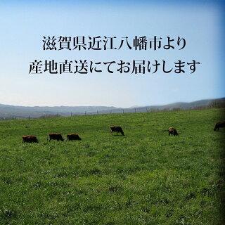 近江牛 肉 牛肉 和牛 焼肉 赤身 モモ もも肉 ギフト A5 A4 国産 結婚内祝い 出産内祝い 内祝い お返し ギフト券 贈答用 目録 景品 二次会 800g 4〜6人前