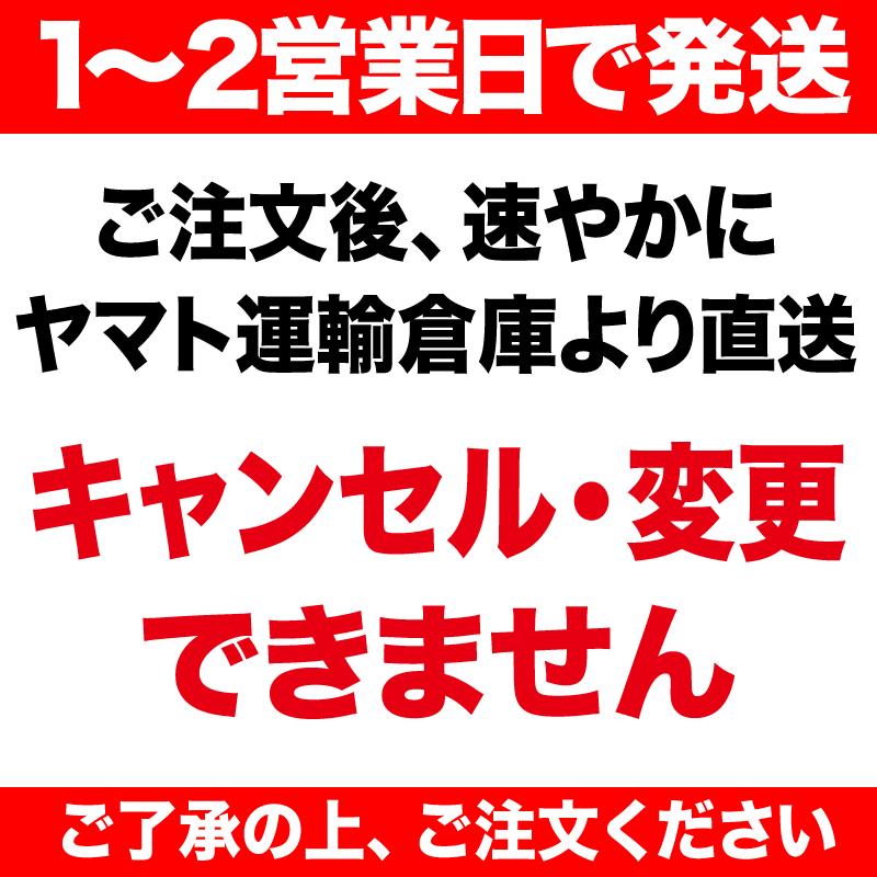 セール 有明産 焼き海苔 焼きのり 全型45枚 訳あり メール便限定 送料無料