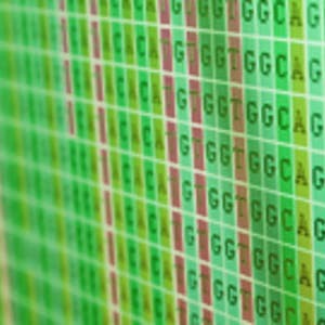 Plant Bioinformatic Methods