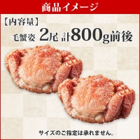 2082. 毛蟹 2尾 計800g前後 食べ方ガイド・専用ハサミ付 カニ かに 蟹 海鮮 ボイル 送料無料 北海道 弟子屈町