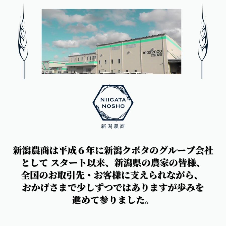 新米 令和５年産 米 お米 5kg 白米 送料無料 魚沼産コシヒカリ 5kg 精米 ギフト プレゼント