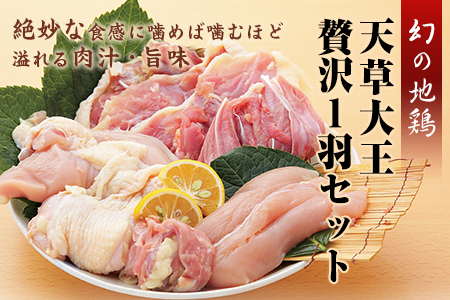 天草大王　贅沢1羽セット《60日以内に順次出荷(土日祝除く)》約1.5kgもも・むね・ささみ 各2枚 熊本県産 あそ大王ファーム株式会社