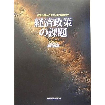 経済政策の課題 経済改革からデフレ出口戦略まで／富田俊基(著者)