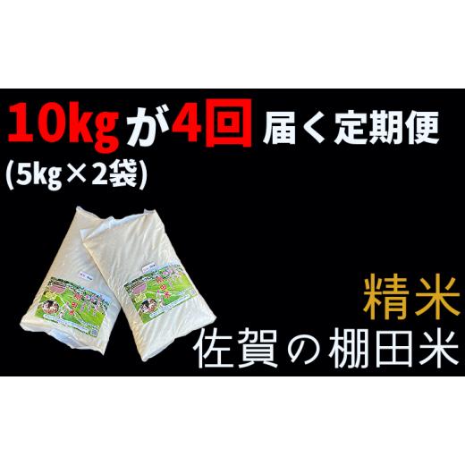 ふるさと納税 佐賀県 多久市 ｐ−５  棚田米 夢しずく 定期便 精米 白米 10kg×4回 