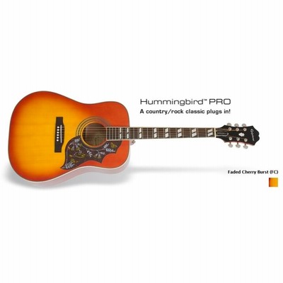 Epiphone Hummingbird Pro / FC Epiphone エピフォン Limited Edition