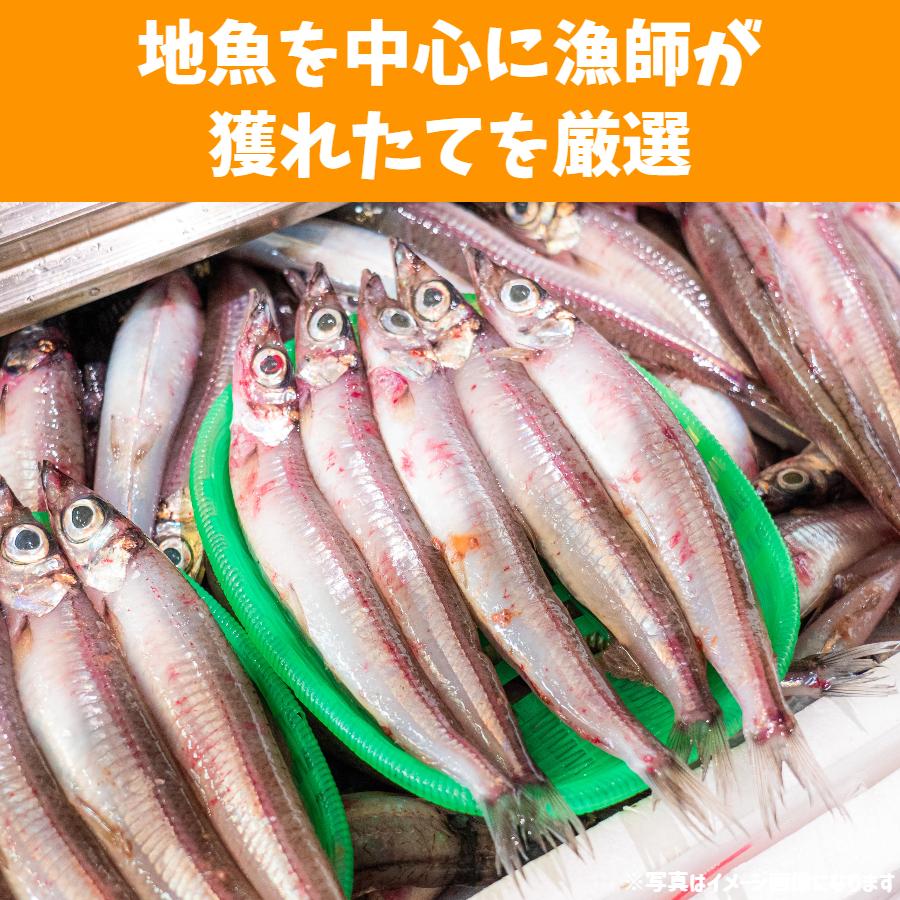 干物 ＆ 蒲鉾 セット 冷蔵 富山 父の日 ギフト 贈答品 お土産 魚の干物 かまぼこ 焼き魚