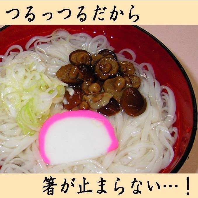 湯沢市稲庭　稲庭古来堂 稲庭うどん 切落し(中)