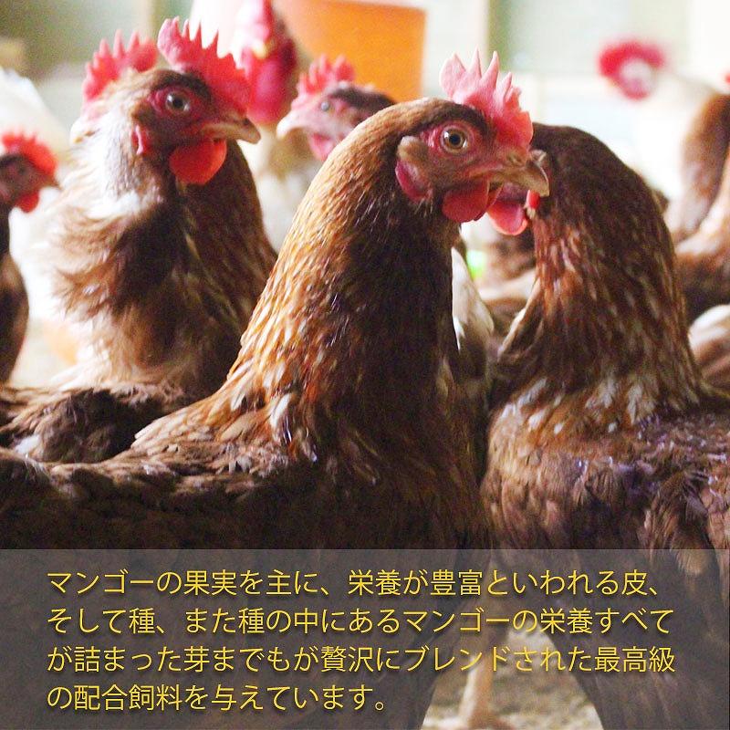 高級卵 　タマンゴ6個　マンゴーの配合飼料で育てた鶏の高級卵かけご飯 贈答品卵 贈答用卵 高級卵通販　熊本天草産