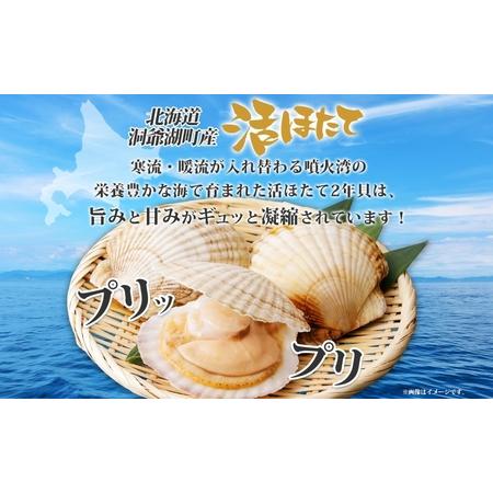 ふるさと納税 約2kg！活ほたて2年貝(15枚〜22枚)≪配送：2024年2月より順次出荷≫海産物 ホタテ 帆立 ほたて 旨味 料理  刺身 北海道洞爺湖町