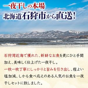 ふるさと納税 7-027 旨塩 いしかり一夜干しセット（カレイ・ホッケ・にしん・4枚入） 北海道石狩市