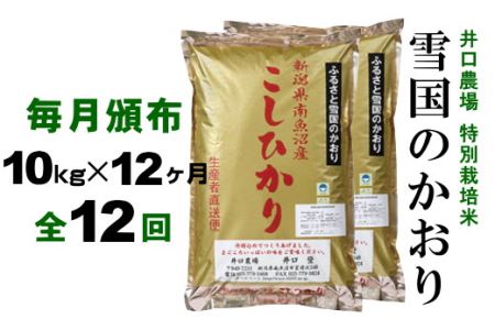 南魚沼産コシヒカリ「雪国のかおり」１０kg毎月頒布（１年間　全１２回）