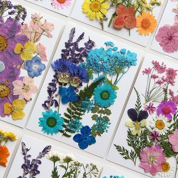 國色生香系列 中花包組合 真花壓花 永生花 森林系 少女寫真 壁畫 DIY水晶滴膠 乾燥花 植物