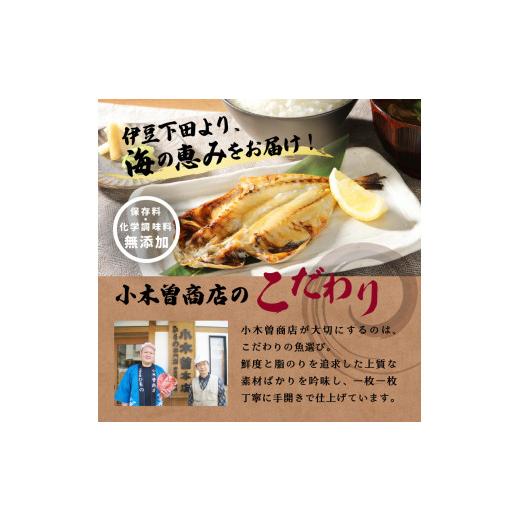 ふるさと納税 静岡県 下田市 ＜小木曽商店＞　干物詰合せ＜Dセット＞