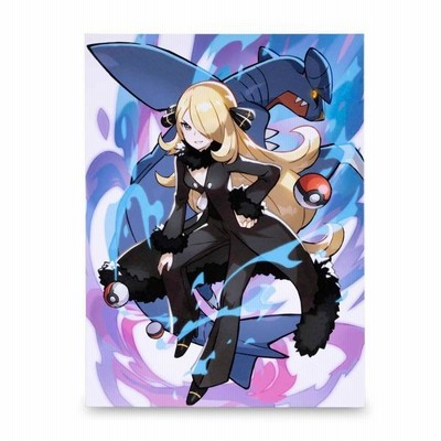 ポケモン　ポケモンセンター　トレーナーズ　ダイゴ　キャンバスウォールアート Pokemon 海外ポケモンセンター限定 ポケモン トレーナー