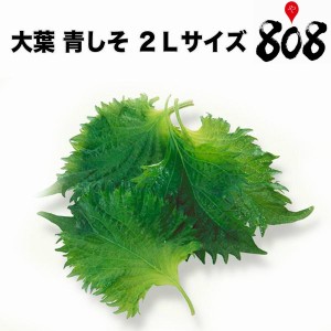 大葉 青しそ あおじそ ２Ｌサイズ 1パック約100g 100枚入おうち時間 巣