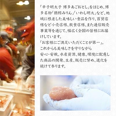 ふるさと納税 田川市 博多まるきた水産 無着色辛子明太子500g(並切250g×2)