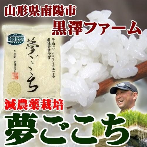 米 お米 5kg 2023年度 令和5年度産 山形 黒澤ファーム 夢ごこち