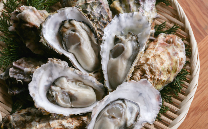 秀栄水産　瀬戸内の 牡蠣 （殻つき 約3kg） 海の幸 海のミルク 海鮮 貝 岡山県 瀬戸内市 虫明湾