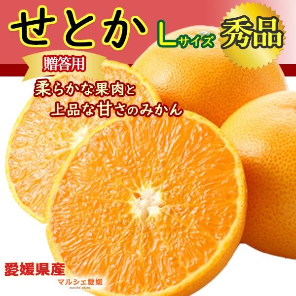 せとか 秀品 L 約3kg 贈答 ギフト 3キロ 化粧箱 愛媛 ふるさと グルメ みかん 箱買い 柑橘 フルーツ 一部地域 送料無料