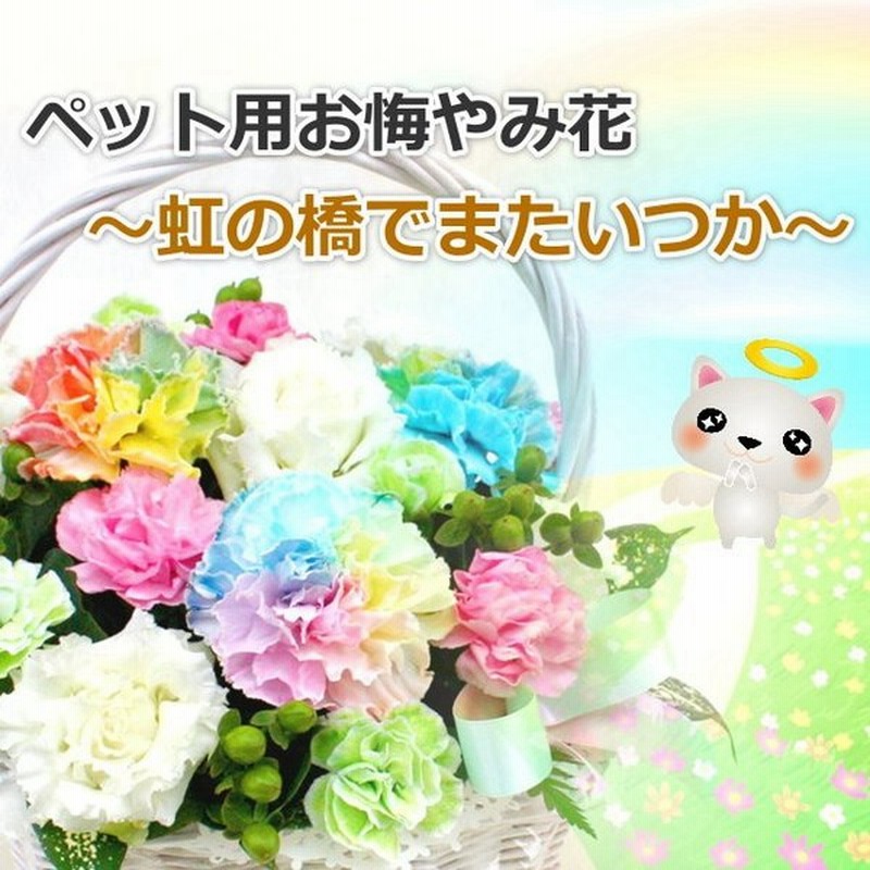 生花 Lサイズ ペット用 お悔やみ花 贈り物 レインボーカーネーション お供え 愛犬 命日 仏花 四十九日 初盆 お盆 法事 供養 法要 アレンジメント 通販 Lineポイント最大0 5 Get Lineショッピング
