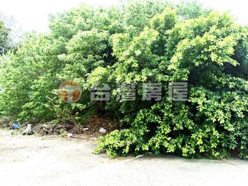 和美鎮東坡路丁種建築用地1｜彰化縣和美鎮大嘉段