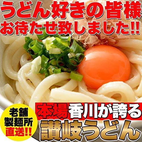 天然生活 讃岐うどん6食分600g (300g×2袋) 鎌田醤油特製ダシ醤油6袋付 香川 本場 生うどん 天然海水塩 SM00010370