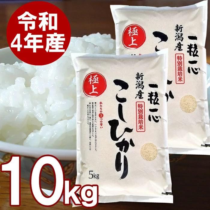 特別栽培米 新潟産 こしひかり 白米 10kg 5kg×2袋 送料無料