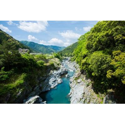 ふるさと納税 大台町 こしひかり精米(真空パック)20kg