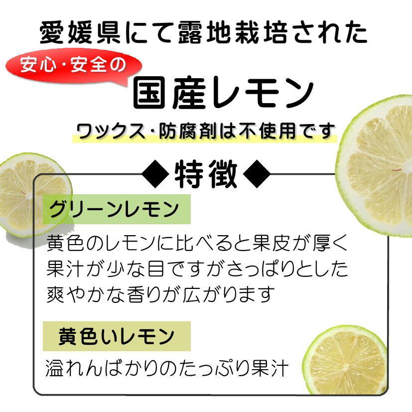 訳あり国産 レモン約2kg　愛媛県産 ワックス・防腐剤不使用 れもん
