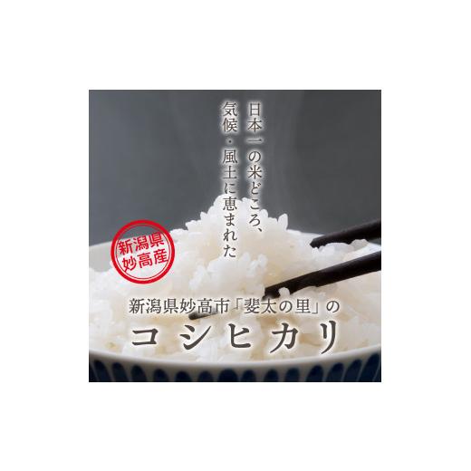 ふるさと納税 新潟県 妙高市 新潟県妙高産斐太の里コシヒカリ「旬」10kg(5kg×2袋)