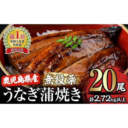 ふるさと納税 2122 鹿児島県産うなぎ蒲焼20尾 鹿児島県鹿屋市