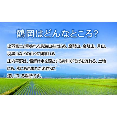 ふるさと納税  特別栽培米雪若丸 10kg (5kg×2袋) ×6ヶ月 山形県鶴岡産　鶴岡協同ファーム 山形県鶴岡市