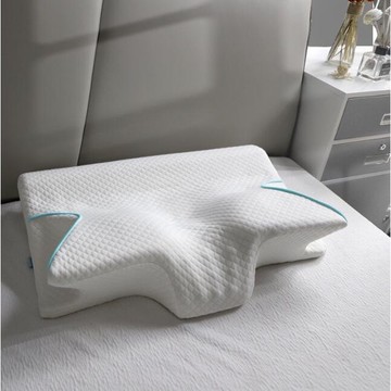寶島家居~第6代太空記憶棉枕頭慢回彈枕睡眠枕頸椎修復枕禮品枕頭