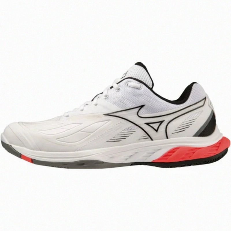 MIZUNO/バドミントンシューズ24.5cm ミズノ バドミントンシューズ 24.5