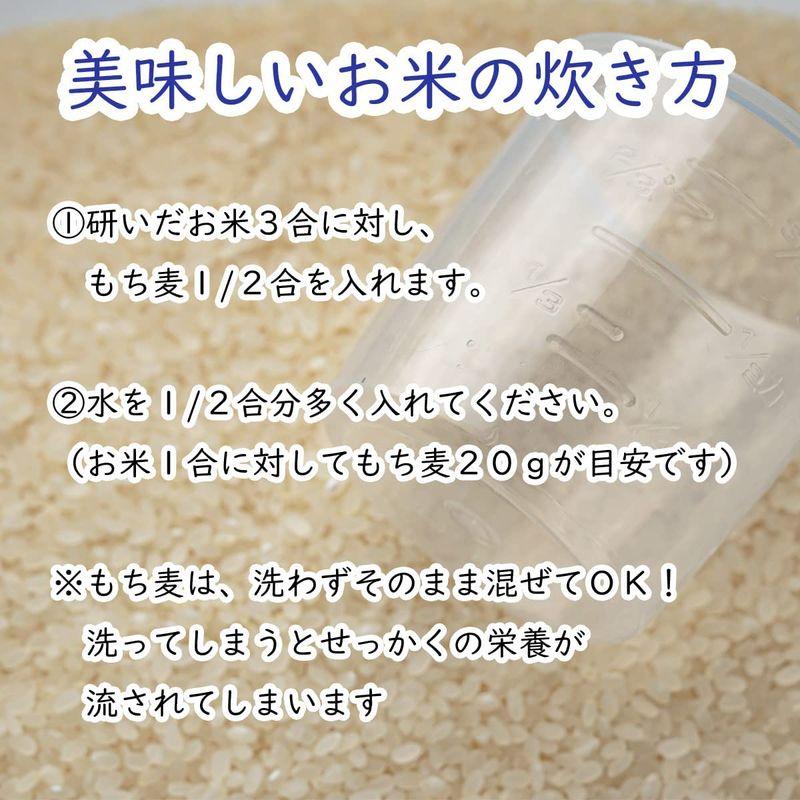 もち麦 800g 佐賀県産 紫もち麦 ダイシモチ ミヤハラ農園