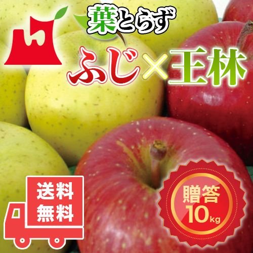 送料無料　青森県産　葉とらず　ふじ・王林セット ご贈答用10kg　(約28〜36個)プレミアムリンゴギフトに最適 青森産サンふじ