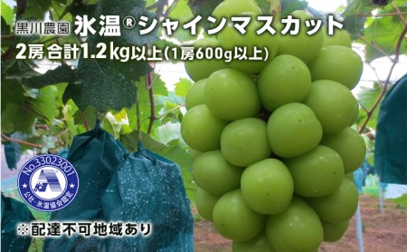 ぶどう 先行予約 氷温(登録商標) シャインマスカット 2房 合計1.2kg以上（1房600g以上） 岡山 黒川農園 2023年