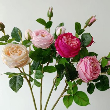 現代輕奢仿真花 多頭奧斯汀 玫瑰 高品質 手感保濕玫瑰裝飾擺件假