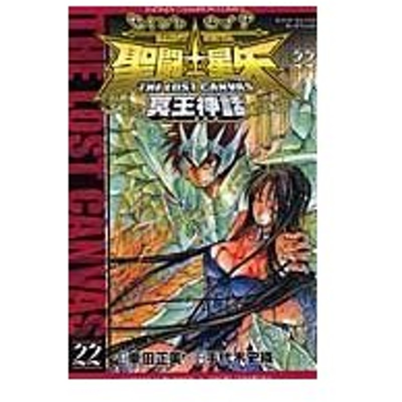 聖闘士星矢ｔｈｅ ｌｏｓｔ ｃａｎｖａｓ冥王神話 ２２ 手代木史織 通販 Lineポイント最大0 5 Get Lineショッピング