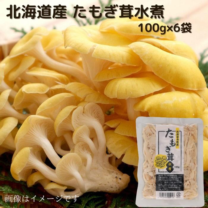 北海道産 たもぎ茸水煮 100g×6袋 送料無料  長期保存 常温 水煮きのこ きのこ 水煮 水煮野菜 野菜  ご当地 たもぎ たもぎ茸 タモギタケ たもぎたけ