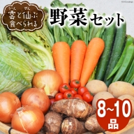 雲（う～ん）と仙（ぜん）ぶ食べられる野菜セット（8～10品）＜肥前グローカル＞