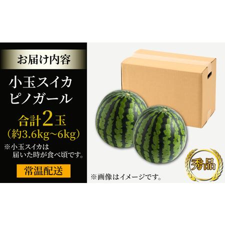 ふるさと納税 小玉スイカ ピノガール 2玉（計3.6kg〜6kg）／福井県 あわら市 フルーツ 夏 果物 西瓜  秀品 農家直送 有機肥料 低.. 福井県あわら市