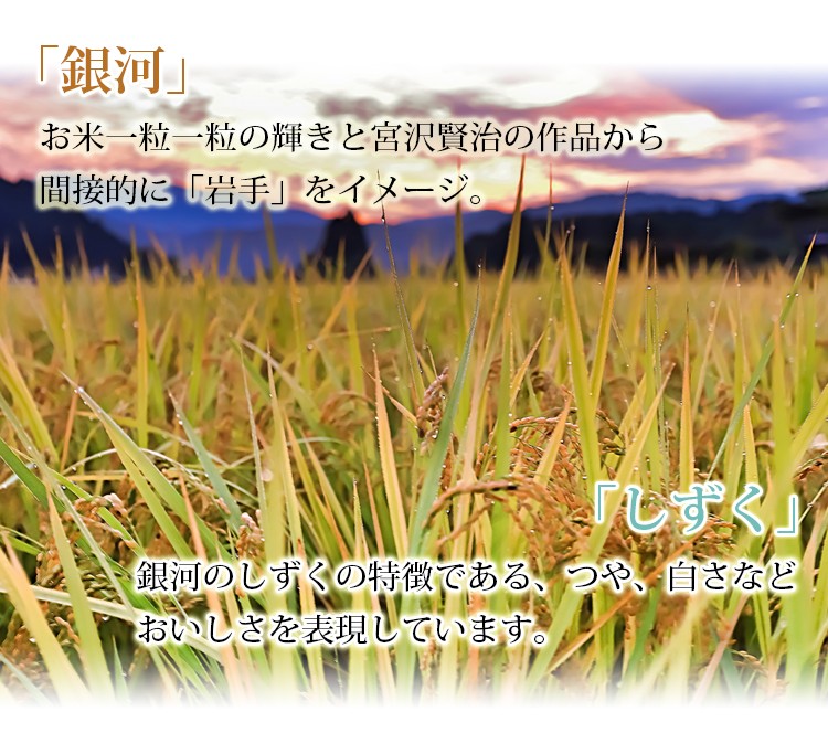 新米 米 白米 10kg 送料無料 銀河のしずく 5kg×2袋 岩手県産 令和5年産 1等米 銀河のしずく お米 10キロ 安い 送料無料