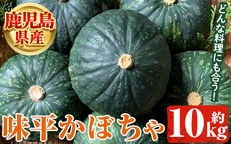 ＜先行予約受付中！2024年5月より順次発送＞鹿児島県産 味平かぼちゃ(約10kg) 国産 野菜 かぼちゃ カボチャ 南瓜 煮物 天ぷら バーベキュー BBQ スイーツ お菓子33-8