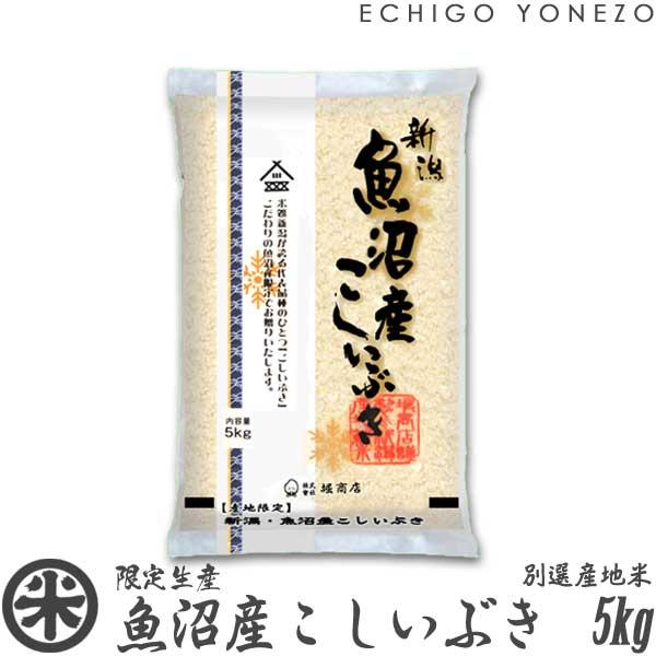 [新潟米 令和4年産] 魚沼産こしいぶき 5kg (5kg×1袋) 別選産地米 新潟米 魚沼米 お米 白米 こしひかり 送料無料 ギフト対応