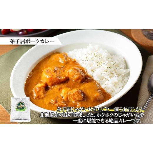 ふるさと納税 北海道 弟子屈町 1444.  弟子屈 カレー 2種 食べ比べ 計4個 中辛 バターチキンカレー ポークカレー 鶏肉 豚肉 じゃがいも 業務用 レトルトカレー…